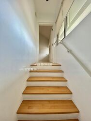 The Loft (D10), Condominium #456448521
